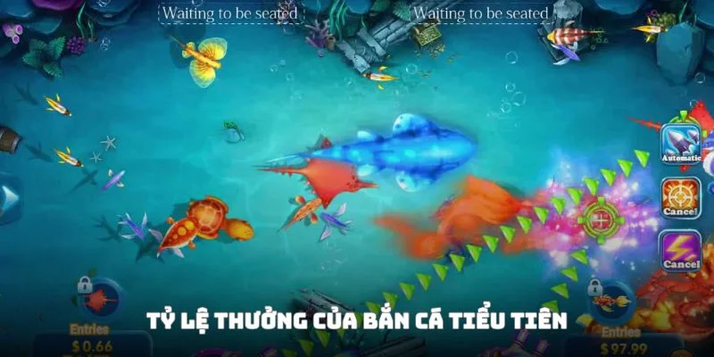 Hệ thống điểm thưởng được công khai