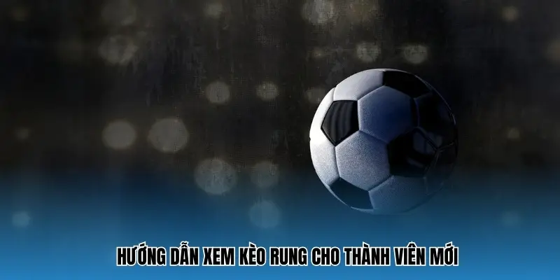 Hướng dẫn xem kèo rung cho thành viên mới