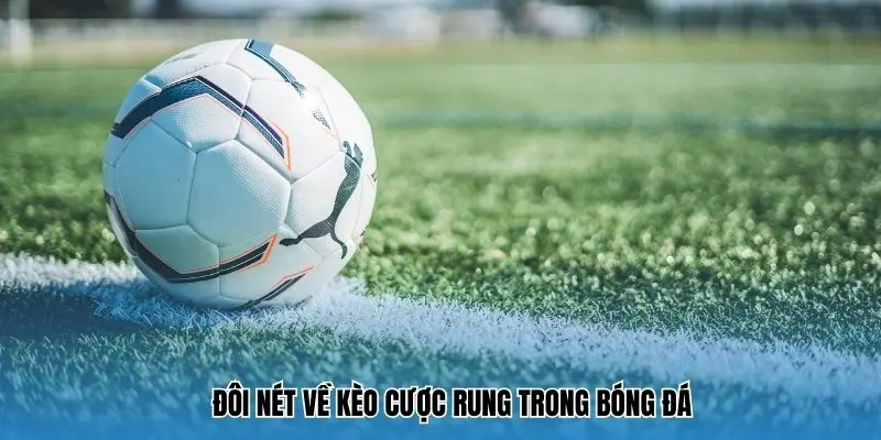 Đôi nét về kèo cược rung trong bóng đá