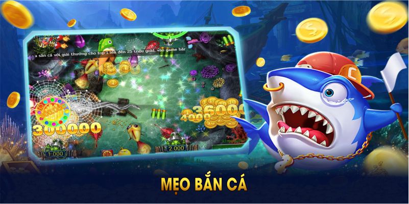 Mẹo Bắn Cá Cực Đỉnh - Áp Dụng Trên 8KBET Để Sinh Lời Hấp Dẫn 