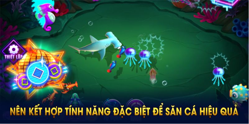 Nên kết hợp tính năng đặc biệt để săn cá hiệu quả