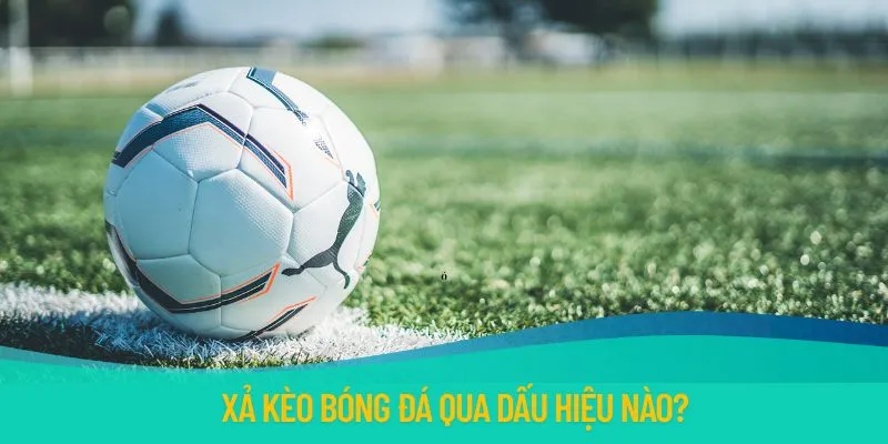 Xả kèo bóng đá ảnh hưởng bởi nhiều nhân tố khách quan