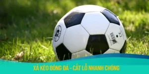 Xả Kèo Bóng Đá Nhanh Cùng 8KBET Để Xoay Chuyển Tình Thế