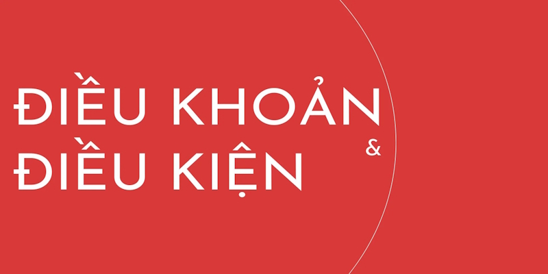 Một số điều khoản điều kiện đáng chú ý